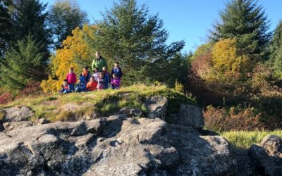 February/March 2020 Newsletter